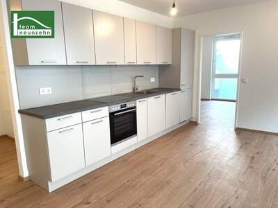 Terrassenwohnung mieten in 1220 Wien (Bild 3)