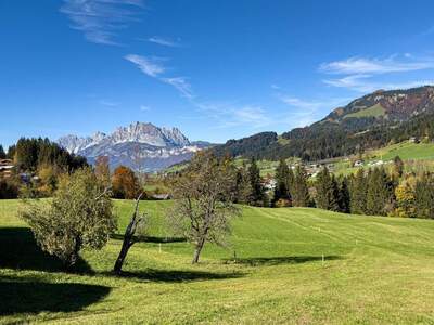 Grundstück kaufen in 6391 Fieberbrunn