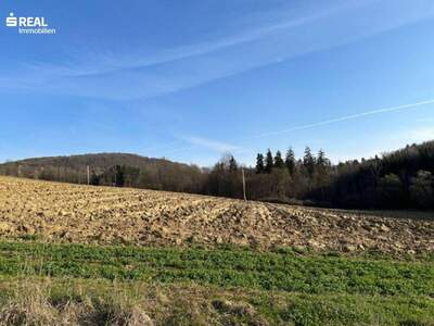 Gewerbeobjekt kaufen in 8044 Graz