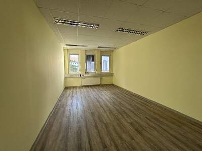 Gewerbeobjekt mieten in 1110 Wien (Bild 5)