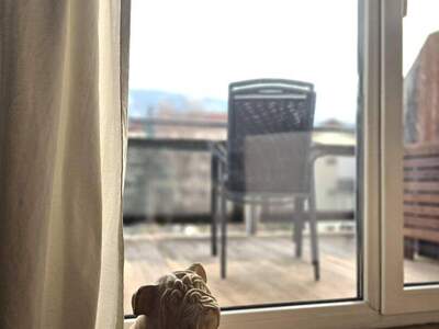 Wohnung mieten in 6060 Hall