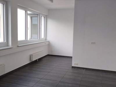 Gewerbeobjekt mieten in 2372 Gießhübl (Bild 4)