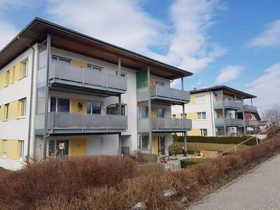Wohnung mieten in 4284 Tragwein