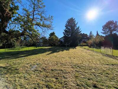 Grundstück kaufen in 2380 Perchtoldsdorf (Bild 2)