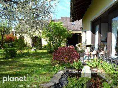 Haus kaufen in 7471 Rechnitz