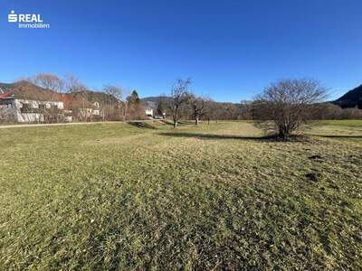 Grundstück kaufen in 9361 St. Salvator