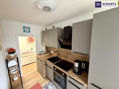 Wohnung mieten in 1130 Wien (Bild 5)
