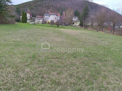 Grundstück kaufen in 2722 Winzendorf (Bild 1)