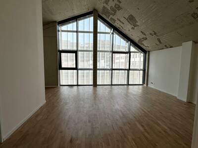 Gewerbeobjekt mieten in 1230 Wien (Bild 1)