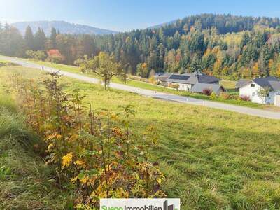 Grundstück kaufen in 4656 Kirchham (Bild 3)