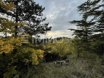 Grundstück kaufen in 2103 Langenzersdorf (Bild 2)