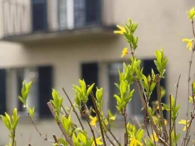 Haus kaufen in 1130 Wien