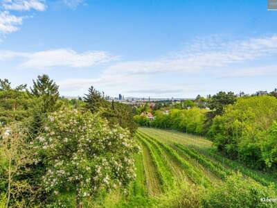 Wohnung kaufen in 1190 Wien