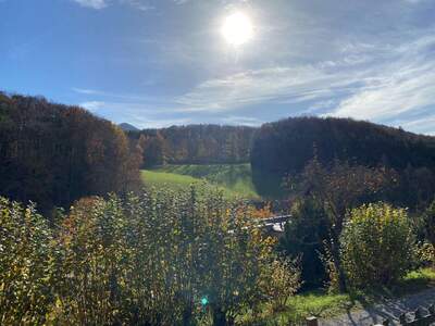 Gewerbeobjekt kaufen in 2572 Kaumberg (Bild 4)