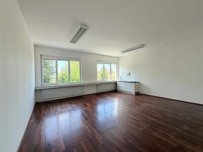 Gewerbeobjekt mieten in 2345 Brunn (Bild 5)