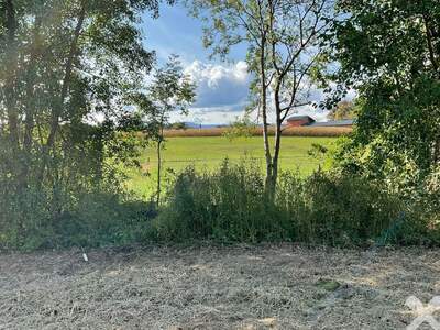 Grundstück kaufen in 8504 Preding (Bild 3)