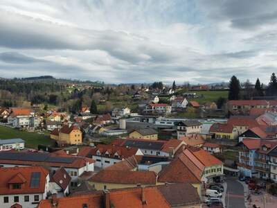 Haus mit Garten kaufen in 8250 Vorau (Bild 2)