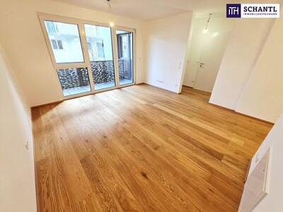 Terrassenwohnung kaufen in 1230 Wien (Bild 3)