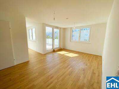 Terrassenwohnung mieten in 1110 Wien (Bild 1)