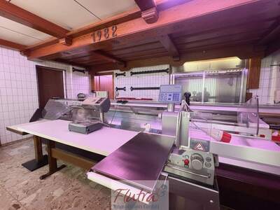 Gewerbeobjekt kaufen in 4650 Lambach (Bild 5)