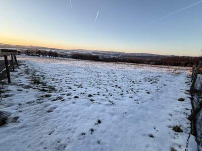 Grundstück kaufen in 4223 Weidegut (Bild 1)