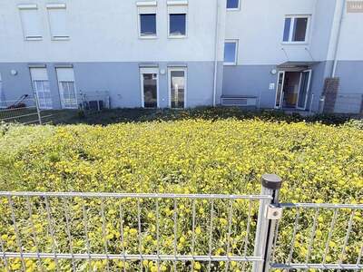 Wohnung mieten in 2700 Wiener Neustadt