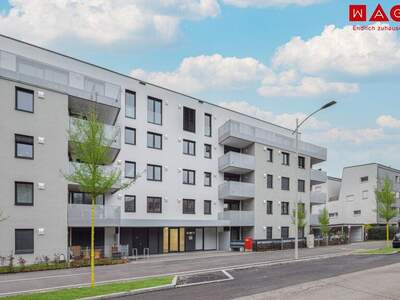 Wohnung kaufen in 4020 Linz (Bild 3)