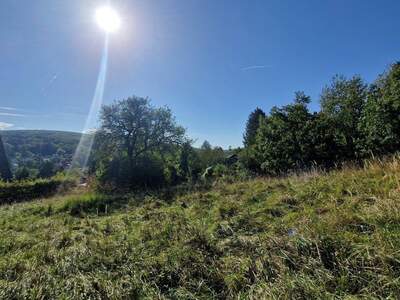 Grundstück kaufen in 3400 Klosterneuburg