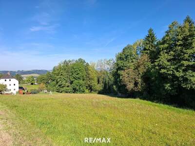 Grundstück kaufen in 4113 St. Martin