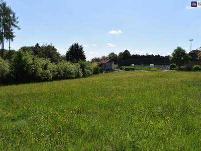 Grundstück kaufen in 8301 Laßnitzhöhe