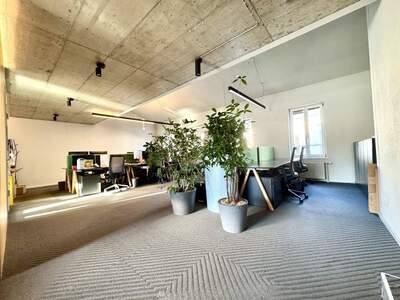 Gewerbeobjekt mieten in 1010 Wien