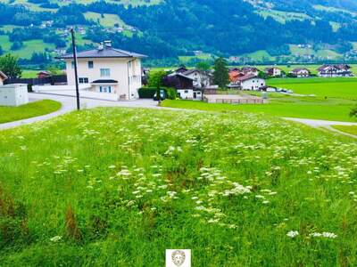 Grundstück kaufen in 6275 Stumm (Bild 4)