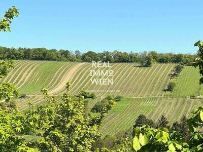 Wohnung kaufen in 1190 Wien