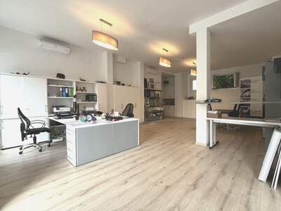 Gewerbeobjekt kaufen in 2345 Brunn (Bild 2)