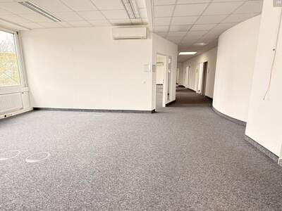 Gewerbeobjekt mieten in 2320 Schwechat (Bild 5)