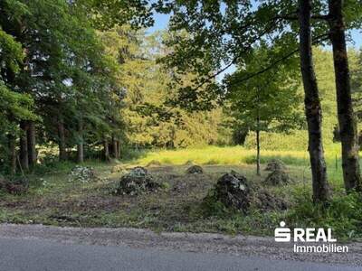 Grundstück kaufen in 4575 Roßleithen (Bild 1)