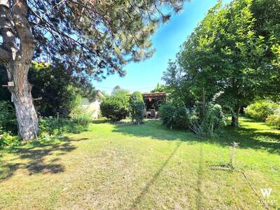 Grundstück kaufen in 2103 Langenzersdorf