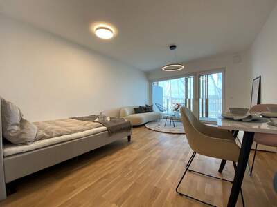 Wohnung mit Balkon mieten in 8020 Graz (Bild 3)