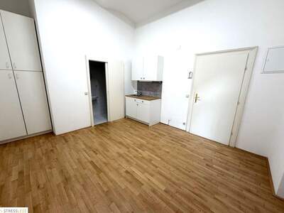 Altbauwohnung kaufen in 1080 Wien (Bild 5)