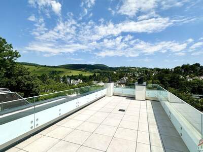 Terrassenwohnung kaufen in 1190 Wien (Bild 1)