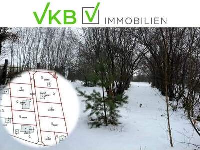 Grundstück kaufen in 4211 Alberndorf