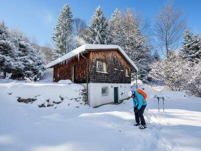 Haus kaufen in 2870 Aspang