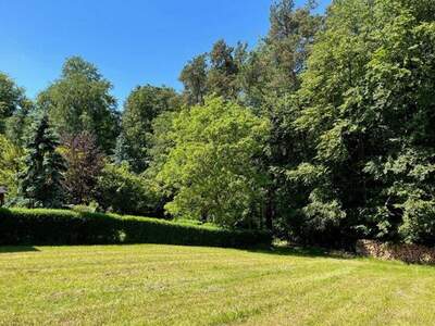 Grundstück kaufen in 8076 Vasoldsberg (Bild 1)