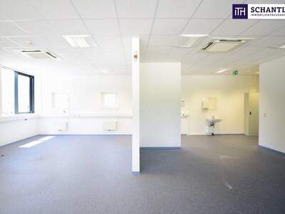 Büro / Praxis mieten in 8301 Laßnitzhöhe (Bild 3)