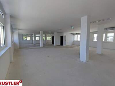 Gewerbeobjekt mieten in 1130 Wien (Bild 3)