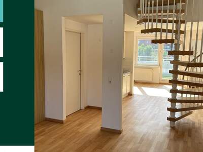 Terrassenwohnung mieten in 1050 Wien (Bild 1)