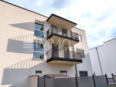 Terrassenwohnung kaufen in 4053 Haid (Bild 1)