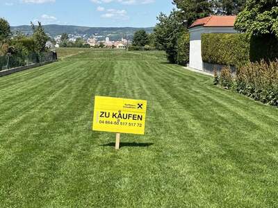 Grundstück kaufen in 7061 Trausdorf