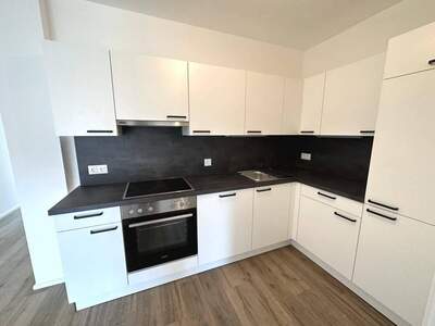 Wohnung mieten in 8020 Graz