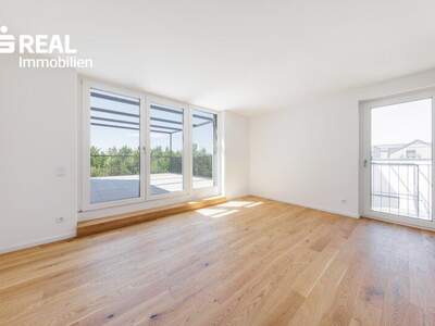 Terrassenwohnung kaufen in 2020 Hollabrunn (Bild 2)